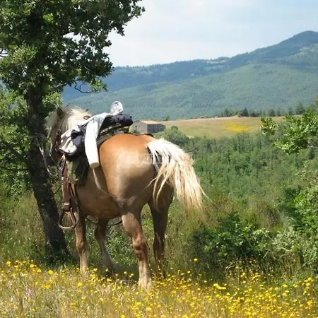 Gæstehus K I T Via Roma 69 Orvieto Tuscany Umbria Lazio *