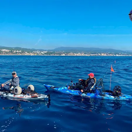 K I T Via Roma 69 Orvieto Tuscany Umbria Lazio Gæstehus Castel Viscardo