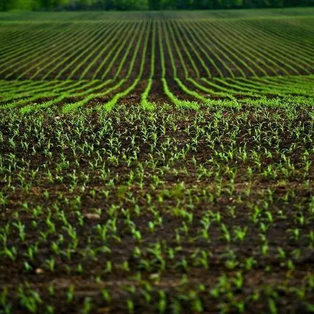 K I T Via Roma 69 Orvieto Tuscany Umbria Lazio Pensión